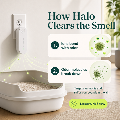 Halo Litter Odor Eliminator